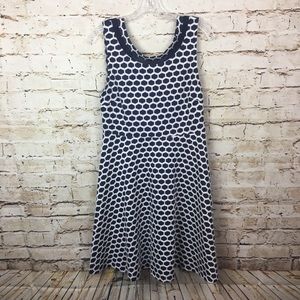 ❌SOLD❌xley Stitch Fix Navy White Fit & Flare Dress